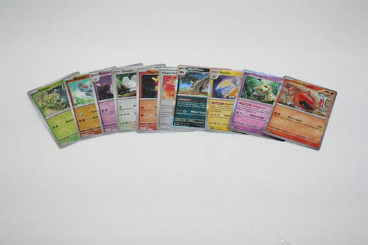 Pokémon - Mystery Pack - 10 Holo & Reverse Karten - Deutsch